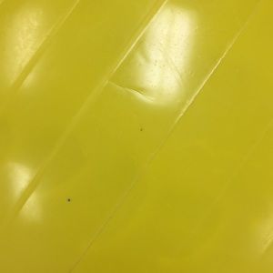 Meet your Posher, Carlie